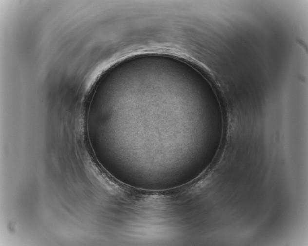 X0000103261506200808291206