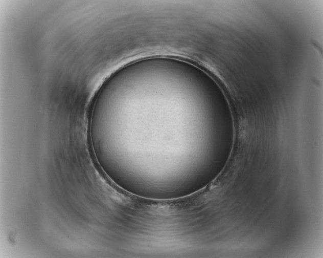 X0000103261508200808291206