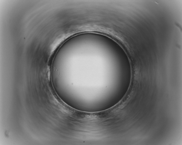 X0000103261509200808291206