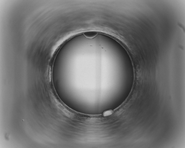 X0000103261510200808291206