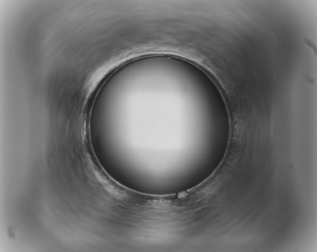 X0000103261511200808291206