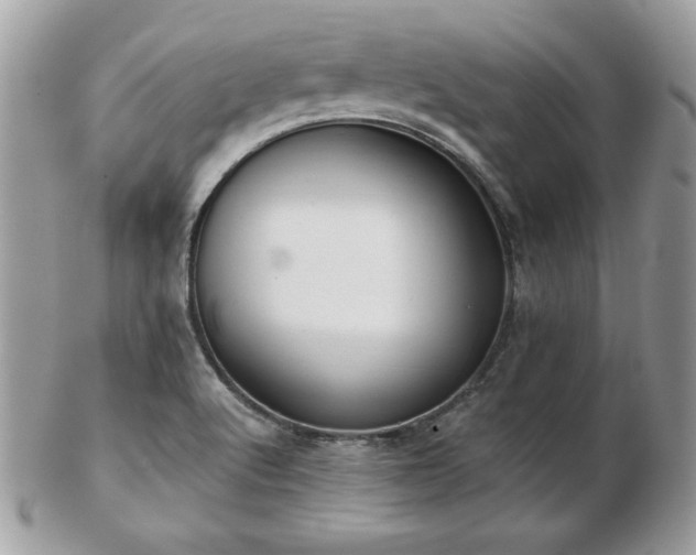 X0000103261512200808291206