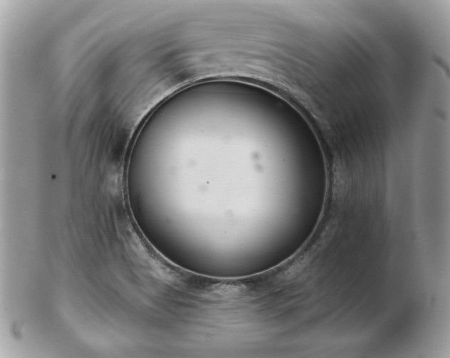 X0000103261513200808291206