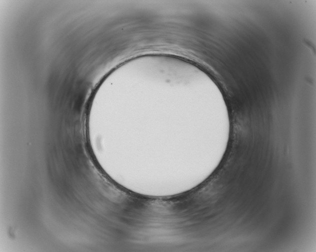 X0000103261514200808291206