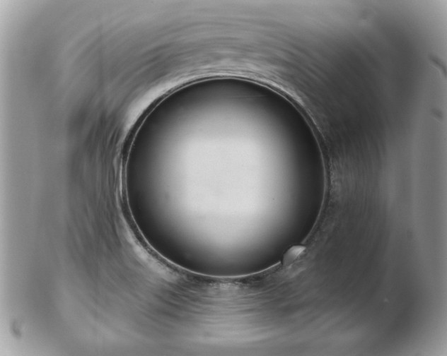 X0000103261515200808291206