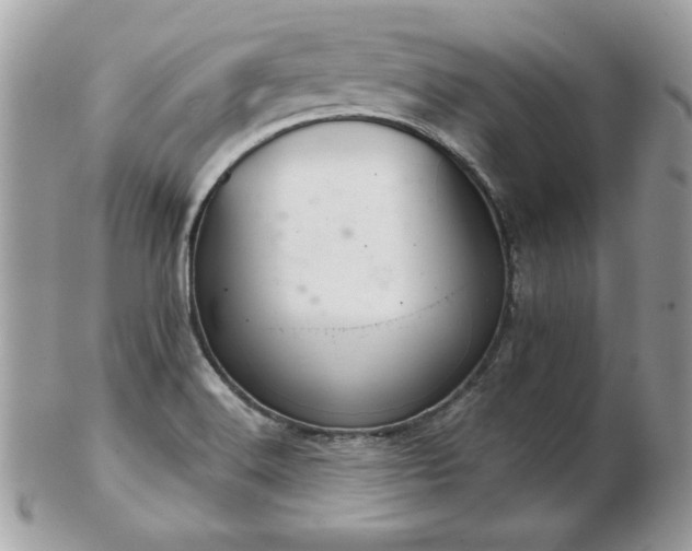 X0000103261516200808291206