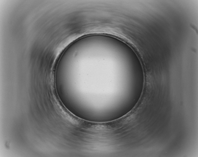 X0000103261517200808291206