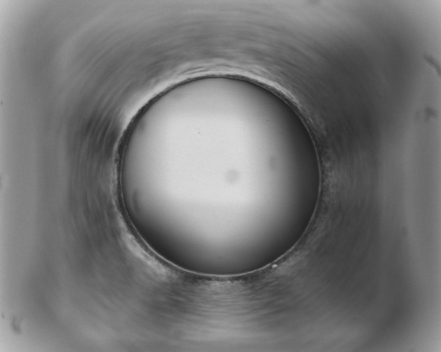 X0000103261518200808291206