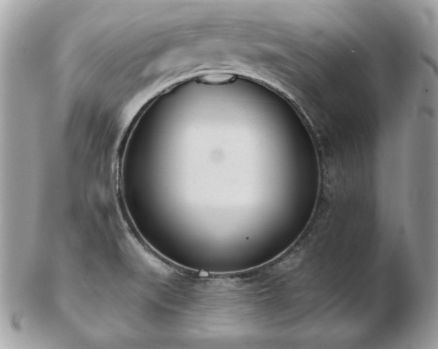 X0000103261519200808291206