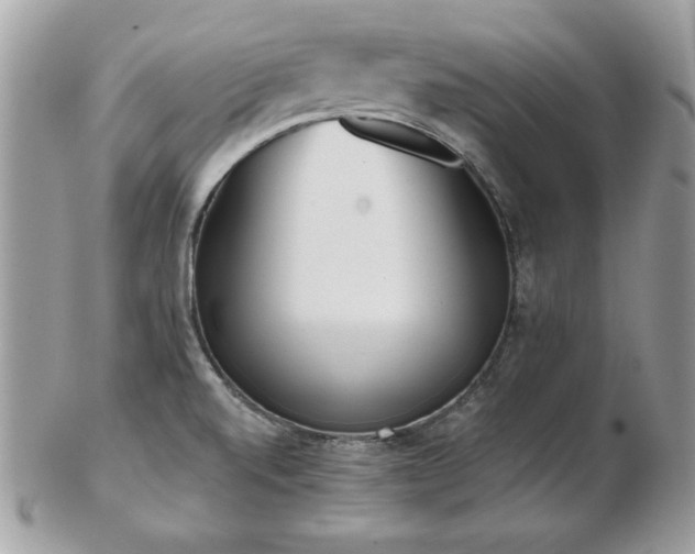 X0000103261520200808291206