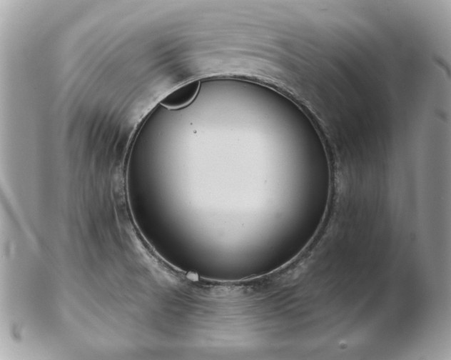 X0000103261521200808291206