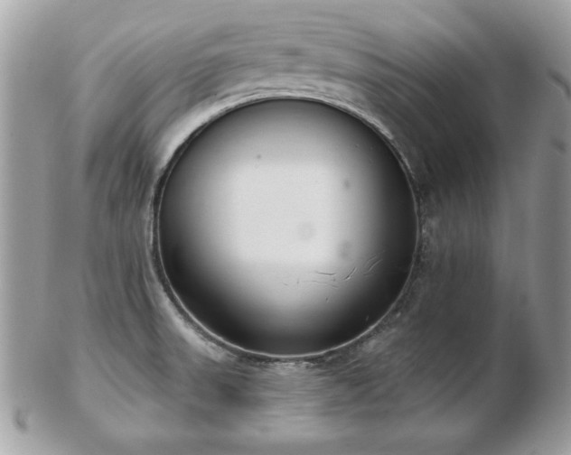 X0000103261523200808291206