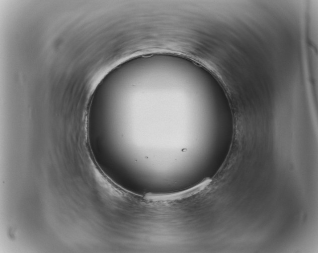 X0000103261524200808291206