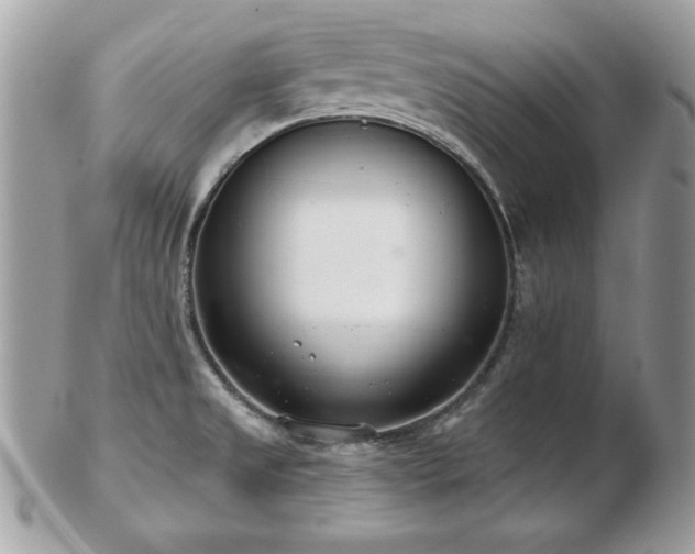 X0000103261525200808291206