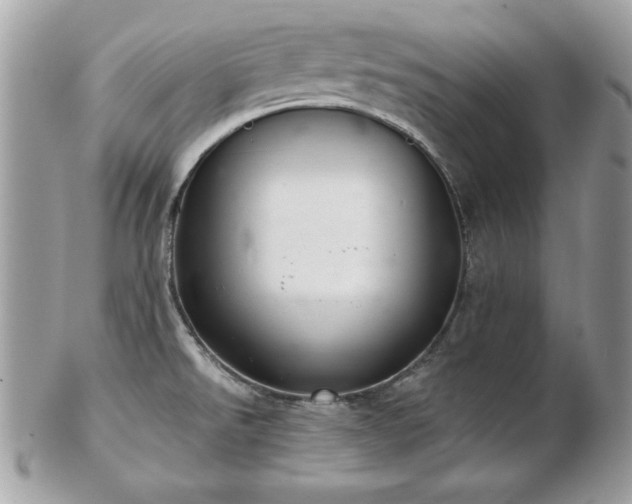 X0000103261526200808291206