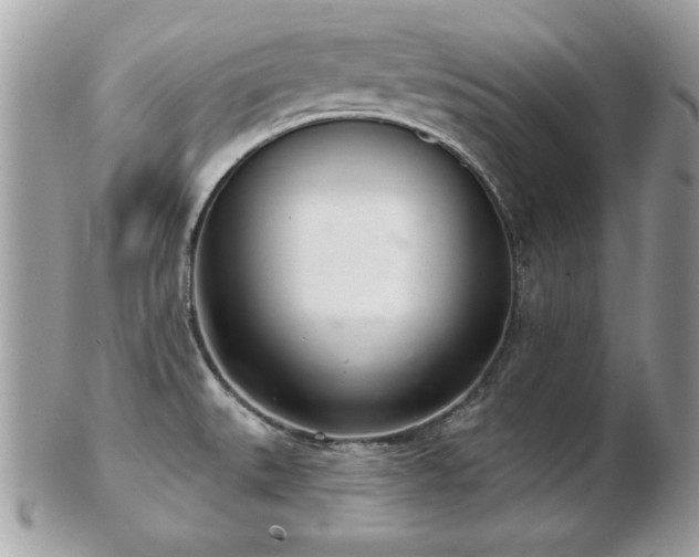 X0000103261527200808291206