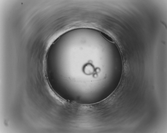 X0000103261528200808291206