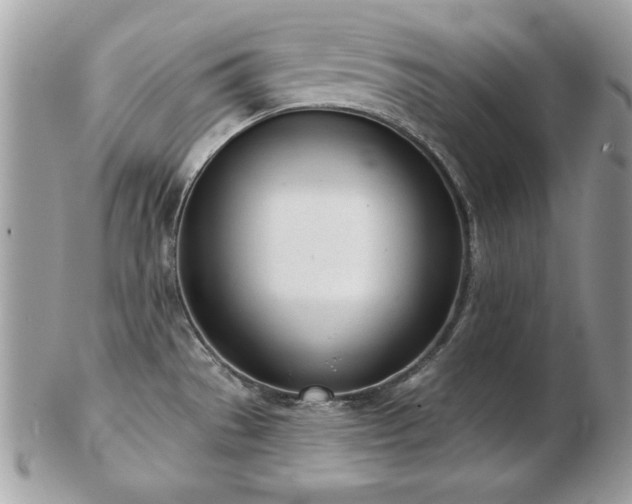 X0000103261529200808291206