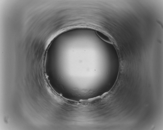 X0000103261530200808291206