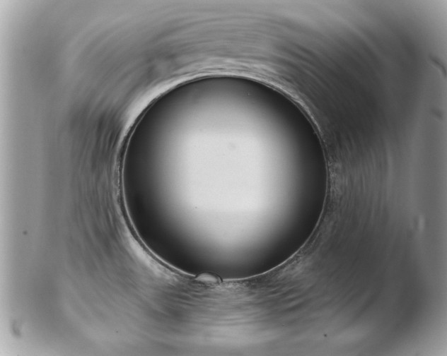 X0000103261531200808291206