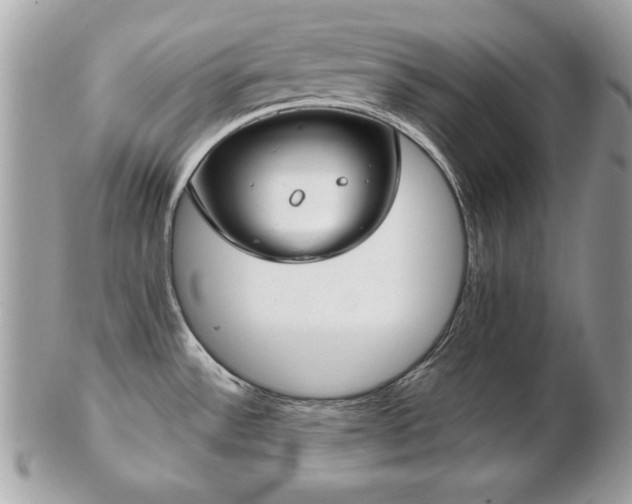 X0000103261532200808291206