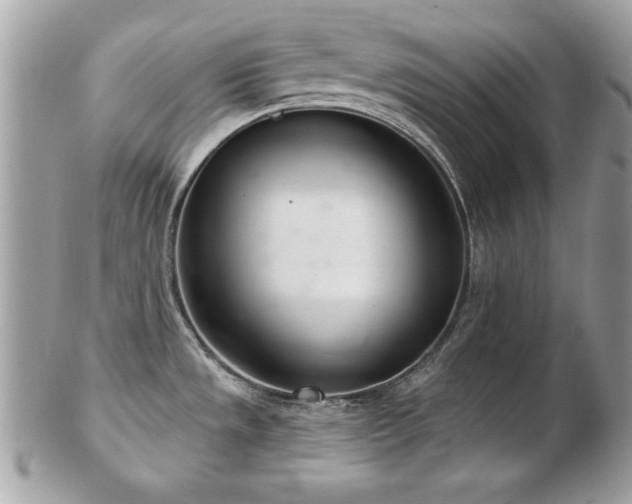 X0000103261533200808291206