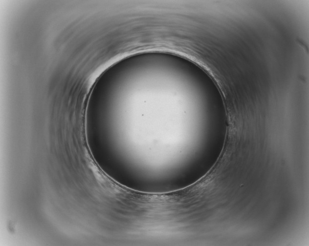 X0000103261534200808291206