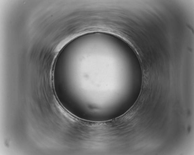 X0000103261535200808291206