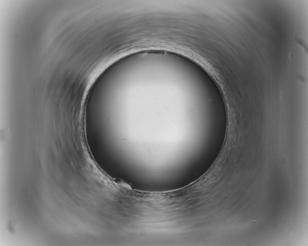 X0000103261536200808291206