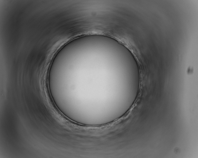 X0000103260001200809051454