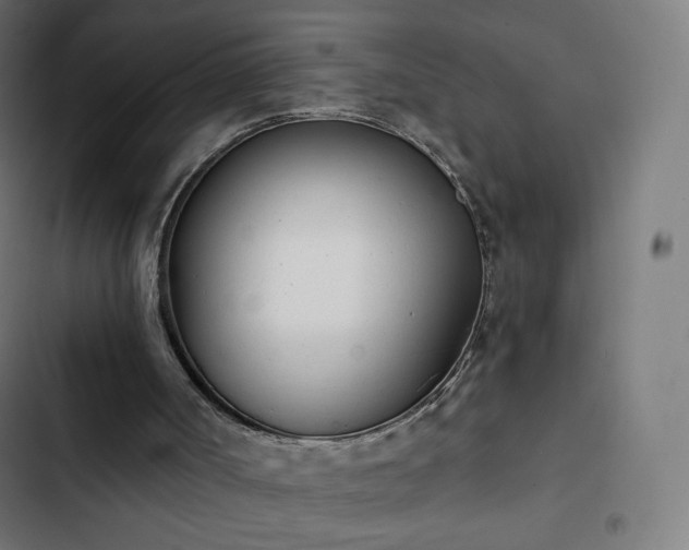 X0000103260002200809051454