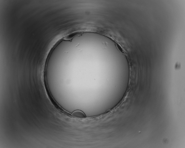 X0000103260003200809051454