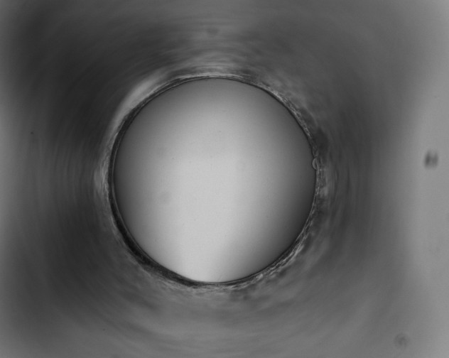 X0000103260004200809051454