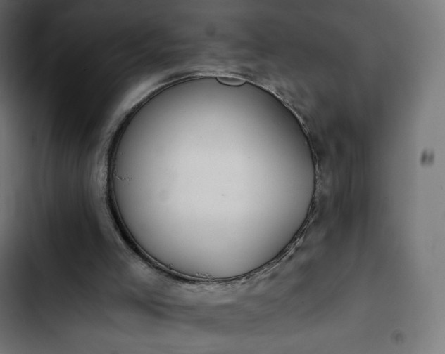 X0000103260005200809051454