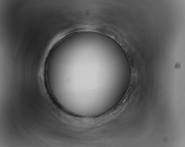 X0000103260006200809051454