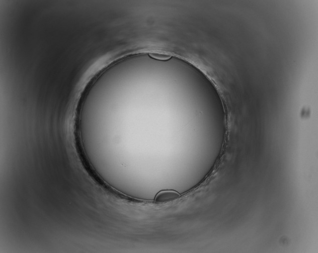 X0000103260007200809051454