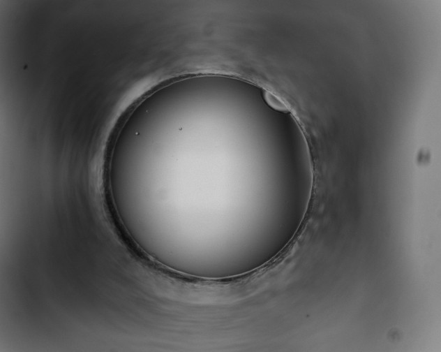 X0000103260008200809051454