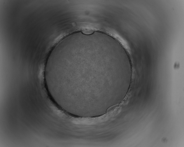 X0000103260009200809051454