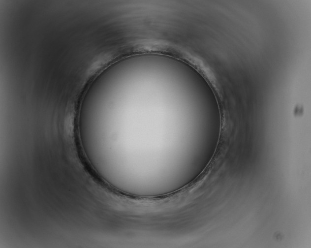 X0000103260010200809051454