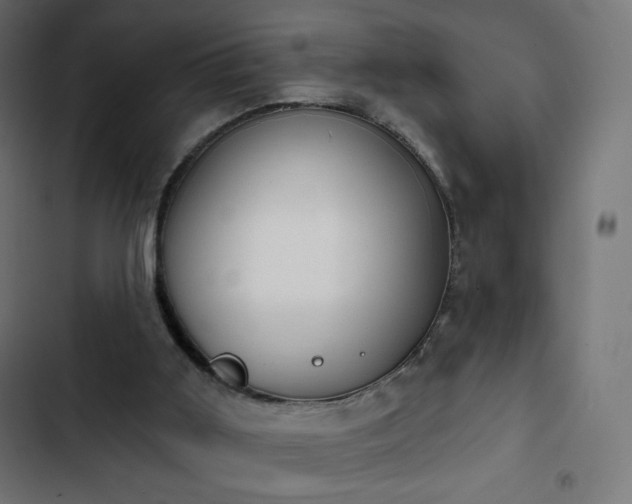 X0000103260011200809051454