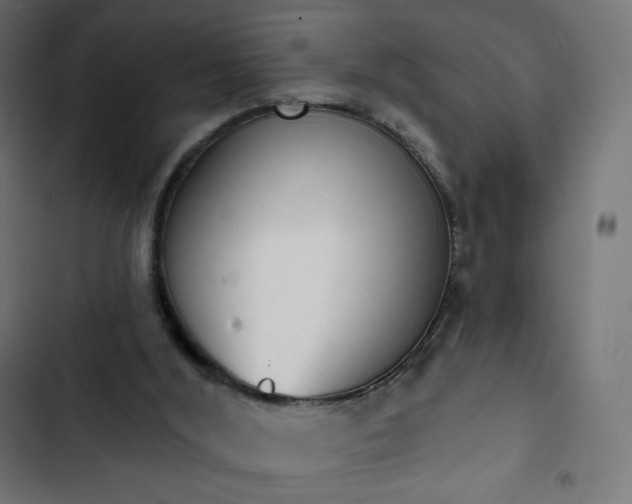 X0000103260012200809051454