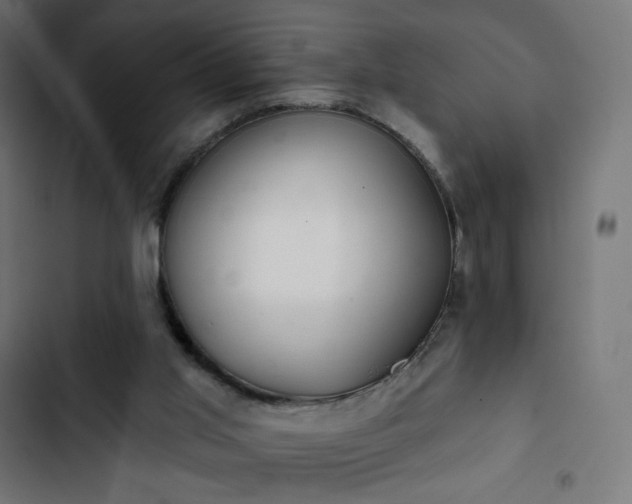 X0000103260013200809051454