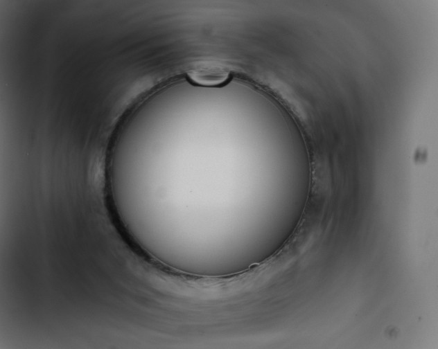 X0000103260015200809051454