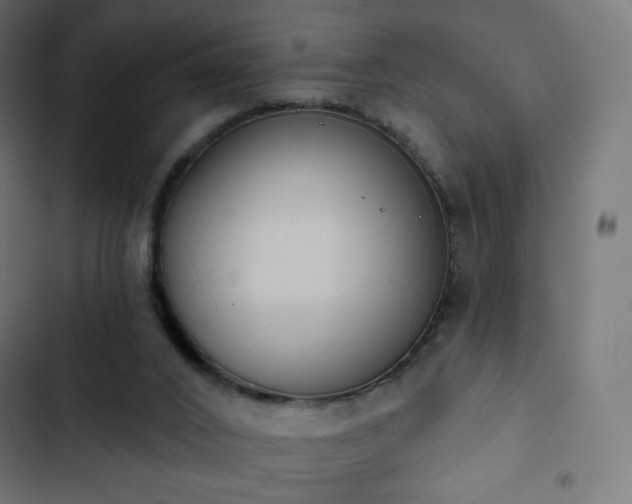 X0000103260016200809051454