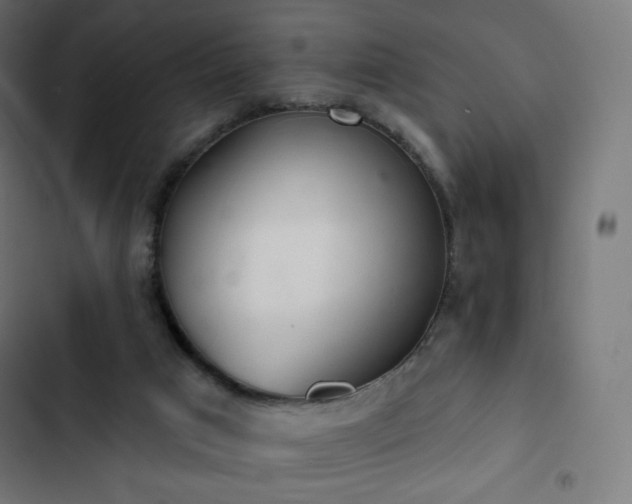 X0000103260017200809051454