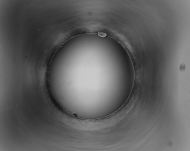 X0000103260018200809051454