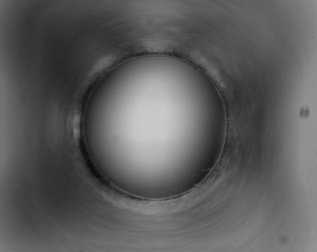 X0000103260019200809051454