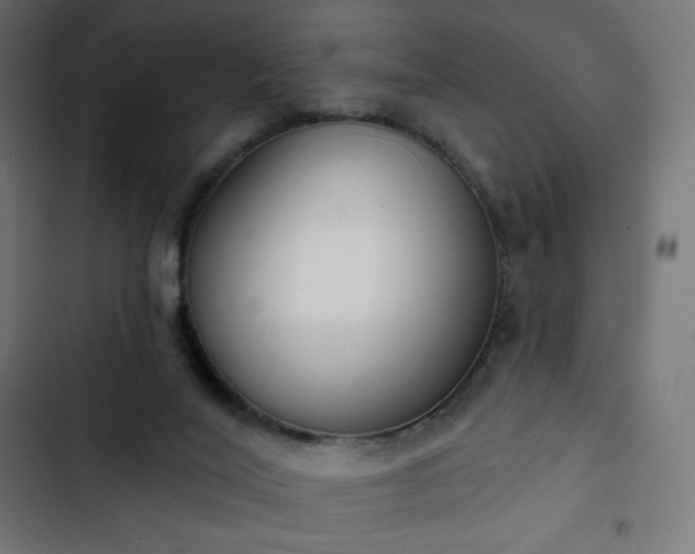 X0000103260020200809051454