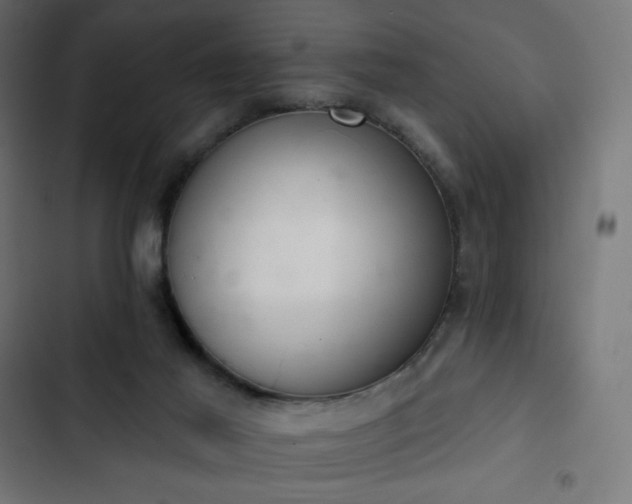 X0000103260021200809051454