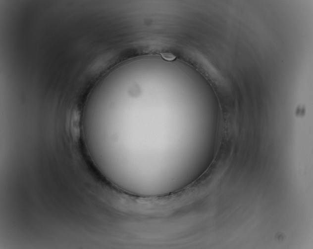 X0000103260022200809051454